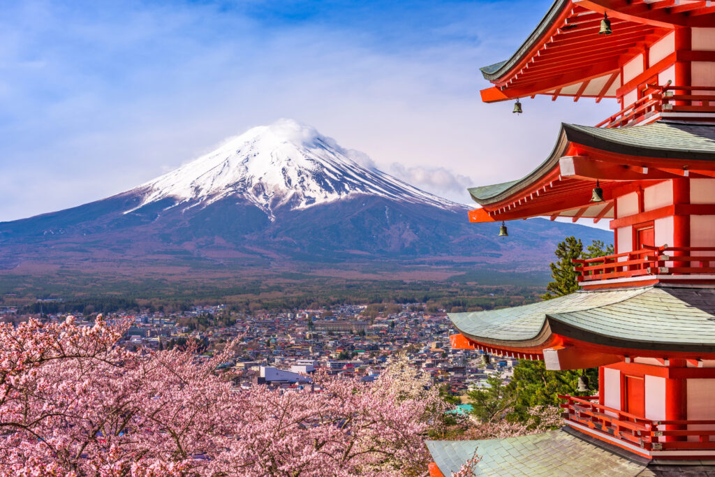 Mt. Fuji with Cherry Blossoms, arguably one of the best seasons to visit Japan.
