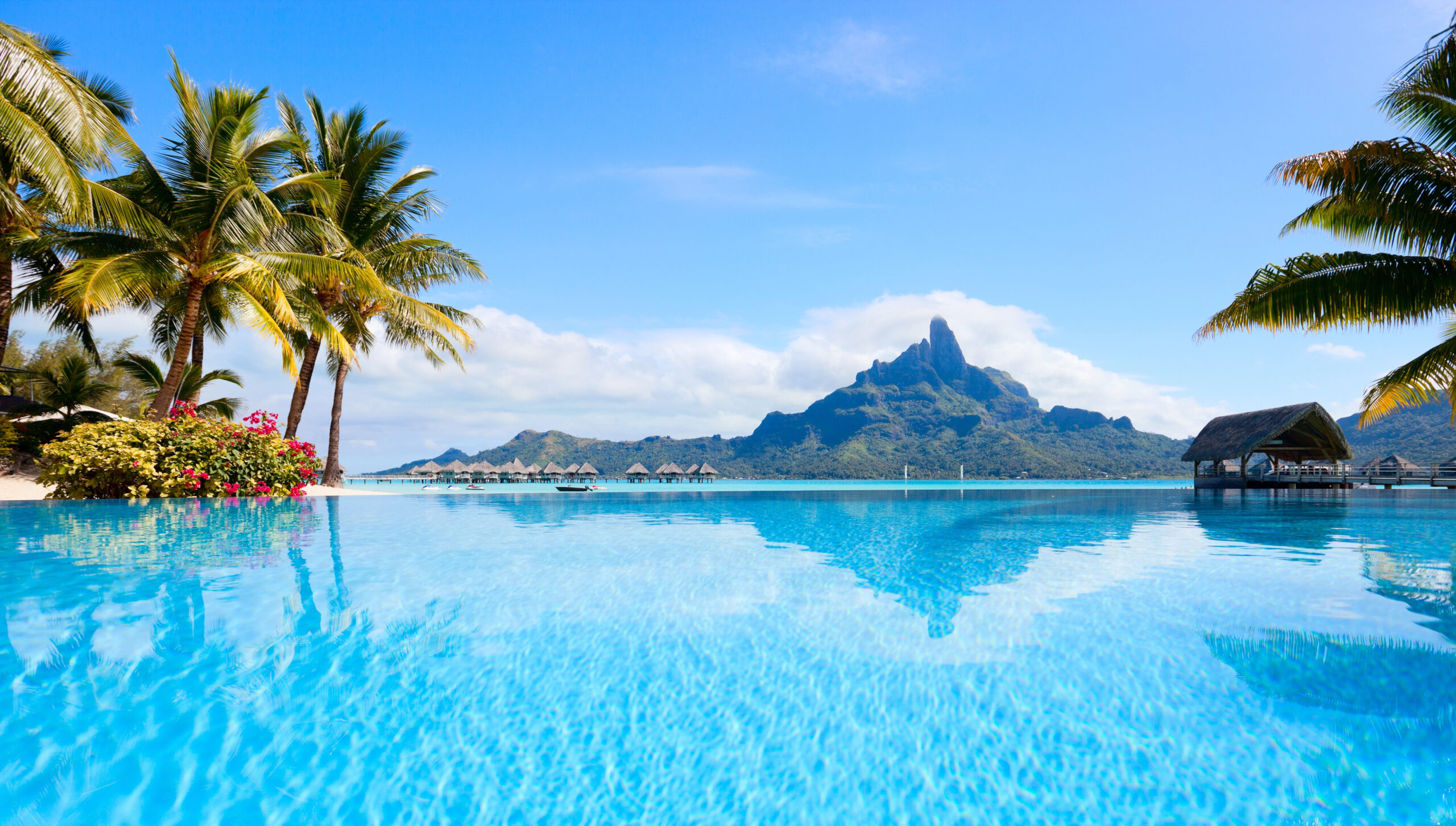 travel agent near you planning luxury vacations to Bora Bora and more